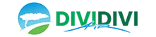 Divi Divi Air